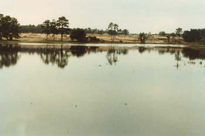 Mirror Lake